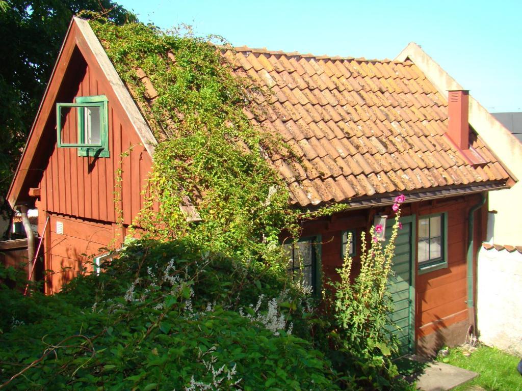 Visby Logi&Vandrarhem Vandrarhem Rum bild